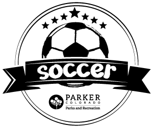 Presentational Mini Mite Soccer visual