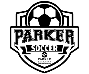 Presentational Youth Soccer visual