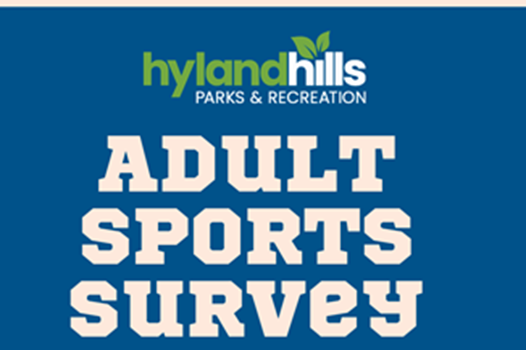 Adult Sports Survey link