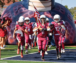 Presentational UM Jr Diamondback Football visual