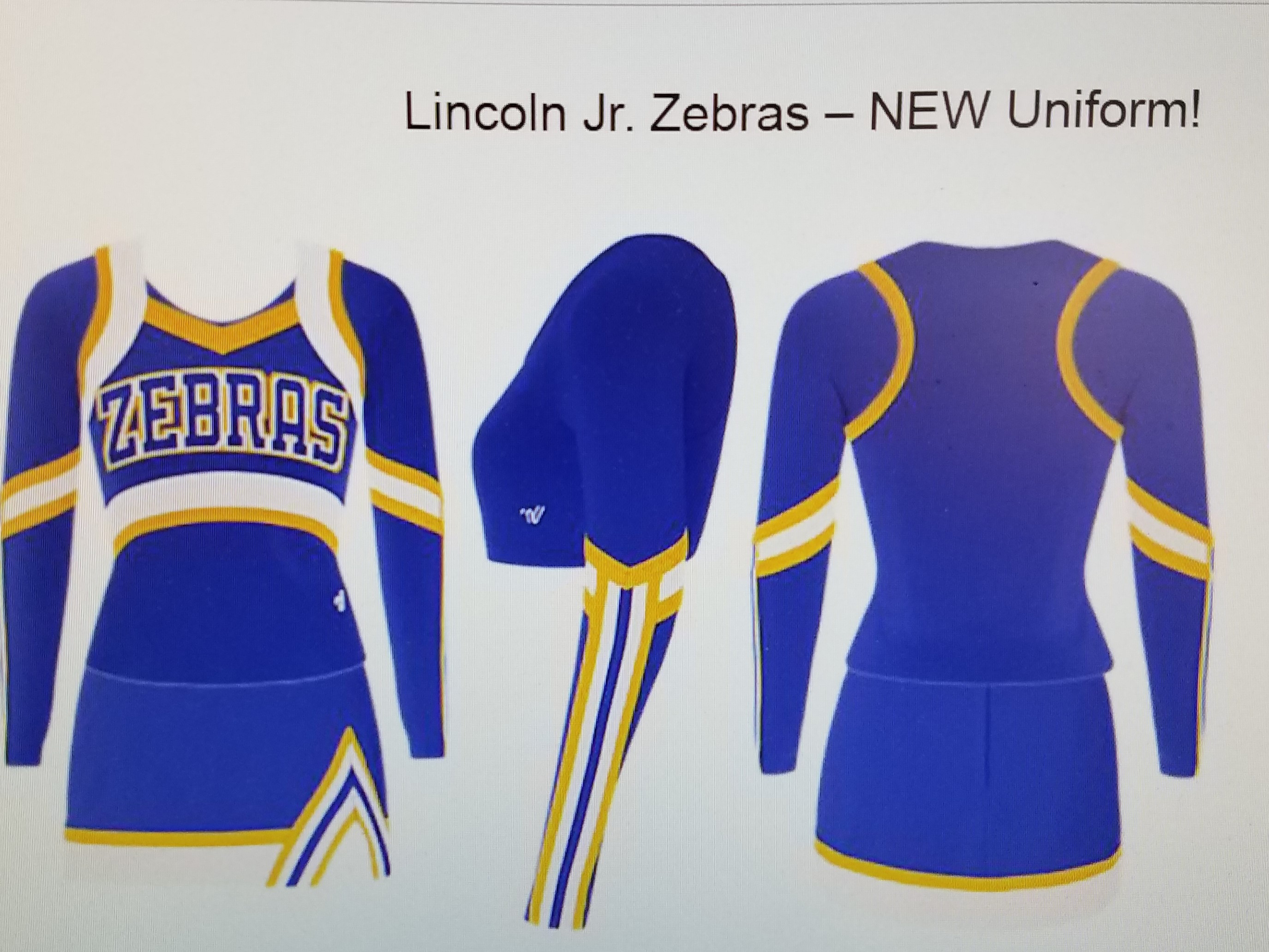 Lincoln Jr Zebras
