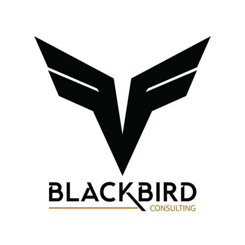 Blackbird Consulting website