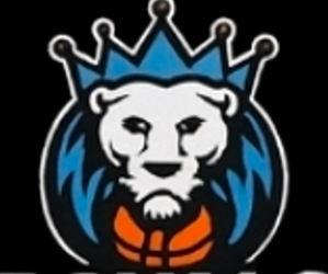 Presentational Tryouts for Spring/Summer Season - Royals Teams visual