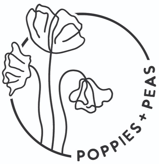 Soccer match for youth