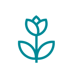 Presentational Tulip Planting Program visual