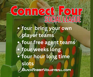 Presentational The Connect Four league visual