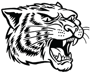 Presentational 2nd/3rd Grade Basketball Clinic visual