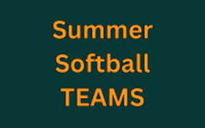 Presentational Summer Softball TEAMS visual