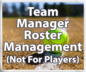 Presentational Adult Softball visual