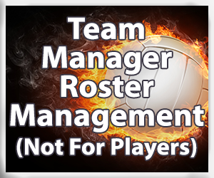 Presentational Adult Volleyball visual