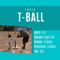 Presentational Youth T-Ball visual