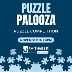 Presentational Puzzle Palooza: November 14 visual