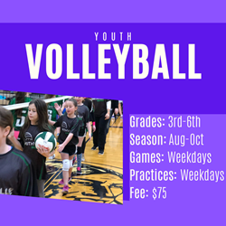 Presentational Youth Volleyball visual