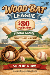 Presentational Adult Wood Bat Baseball visual