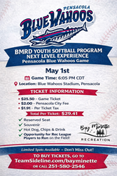 Presentational BMRD Youth Softball Program Next Level Experience visual