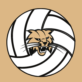 Donation - Volleyball donation image