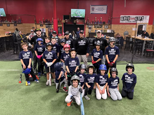 Presentational Lakes Instructional Clinics visual