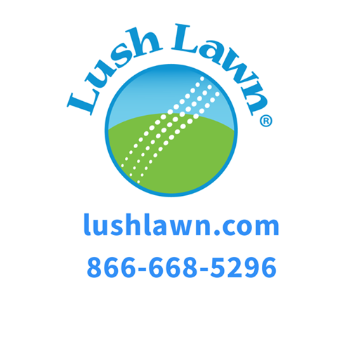 Lush Lawn website