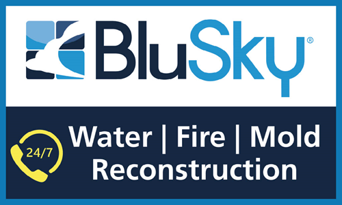 BluSky Restoration Services website