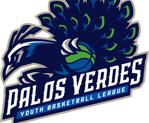 Presentational Winter 2025-Player Skills Clinic visual