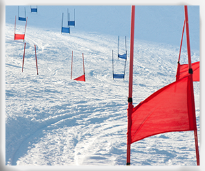 Presentational Wildcat Ski Team 26-27 visual
