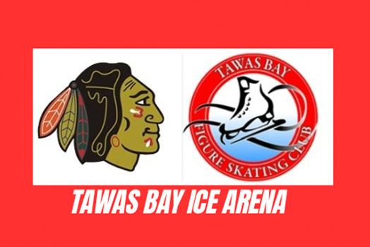 Ice Rink Calendar link