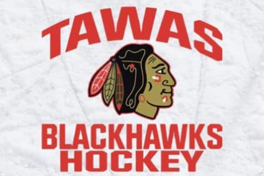Game Schedules link