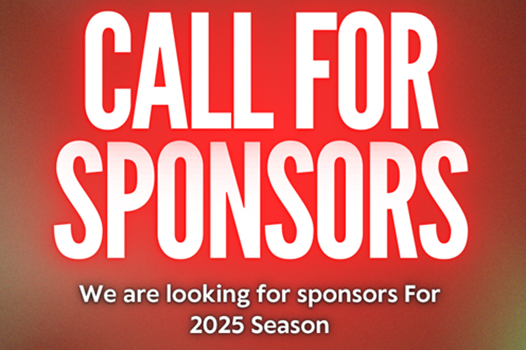 Sponsor link