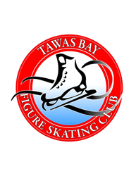 Presentational Packaged Ice (Winter/Spring) visual