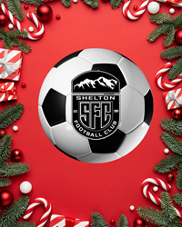 Presentational Christmas Parade - Adult Volunteer visual