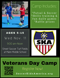 Presentational Veterans Day Camp visual