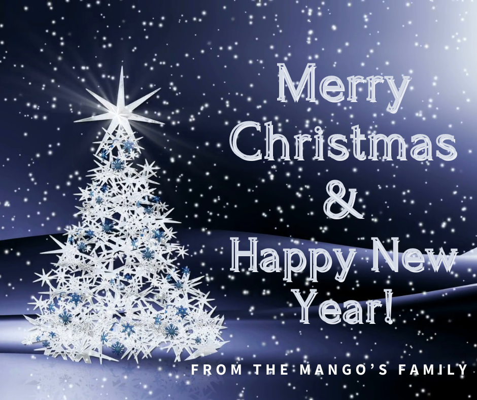 Mango's Beach Volleyball