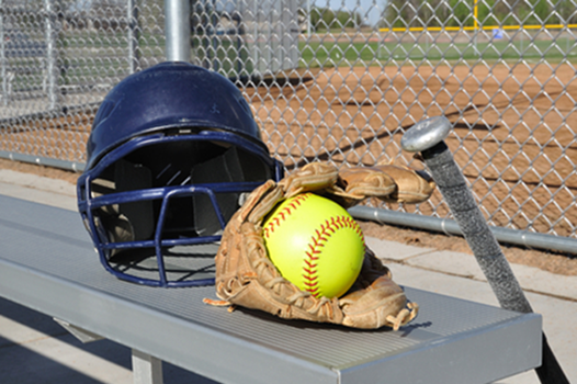 Softball News link
