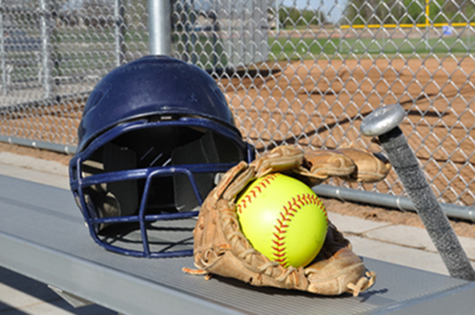 Softball link