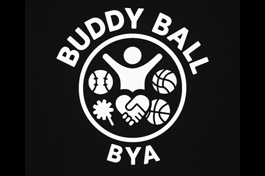 Buddy Ball link