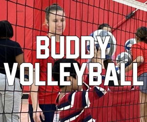 Presentational Buddy Volleyball visual