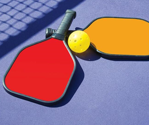 Presentational Free Beginner Pickleball Clinic visual