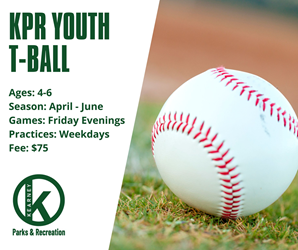 Presentational Youth Recreation T-Ball League visual