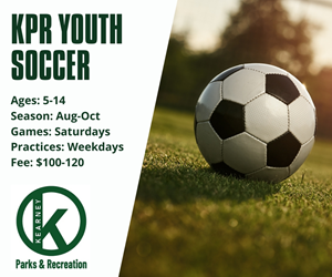 Presentational Youth Soccer League visual