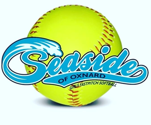 Presentational 2026 Spring MANAGER Registration ONLY!!! visual