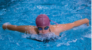 Presentational Level 5 Stroke Refinement - session 1 2026 visual