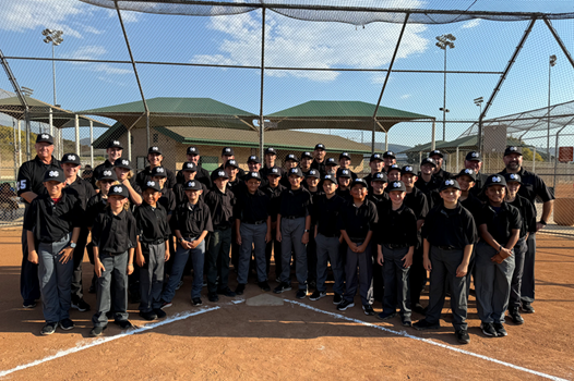 Seeking Adult Umpires link