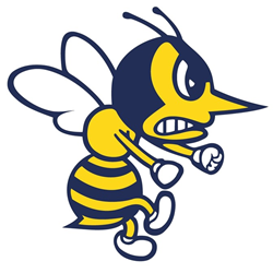 Presentational Monroe Select Baseball 2026 visual