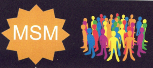 MSM Muti Site Management-in Kind Ice website