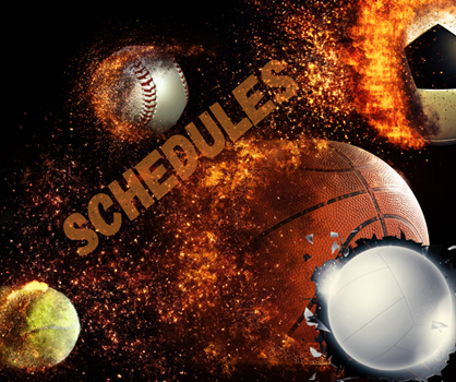 Game Schedules link