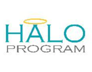 Presentational Halo Program visual