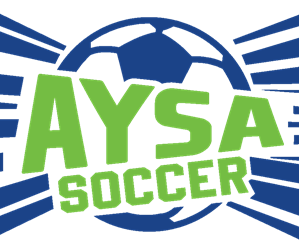 Presentational Adult Soccer League (Jan 7-Feb 11) visual