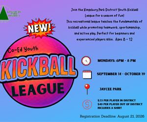 Presentational 2026 Youth Kickball visual