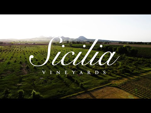 Sicilia Vineyards website