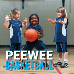Presentational Pee-Wee Basketball visual